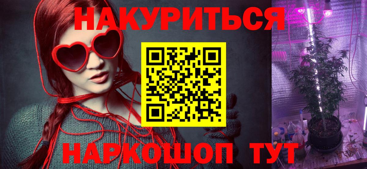 Конопля конопля Камышин
